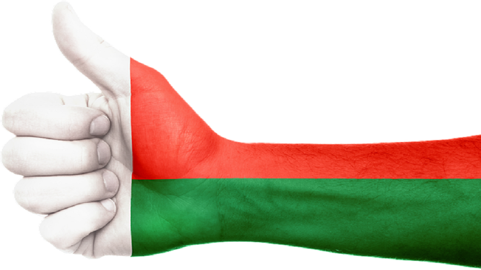 peinture du drapeau de Madagascar sur un bras - secteur BPO à Madagascar - optiserv